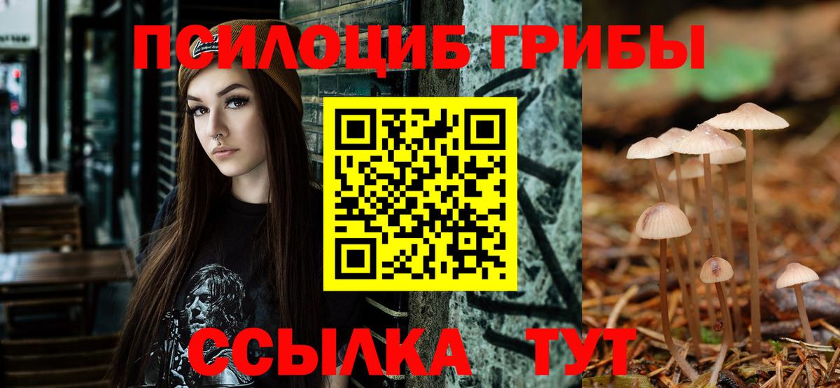 Урус-Мартан  Псилоцибиновые грибы Cubensis  Вход с VPN 